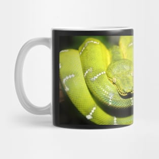 Emerald Tree Boa #1 Mug